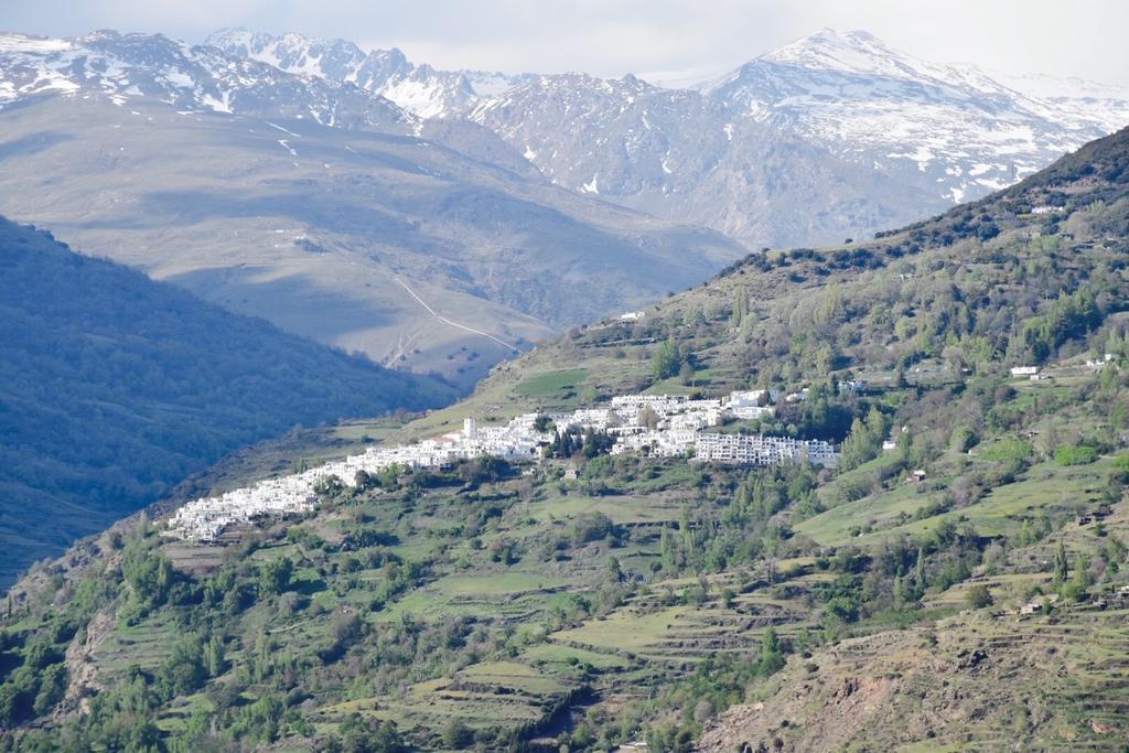 Apartamentos Vista Veleta カピレイラ エクステリア 写真